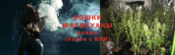 ешки Арсеньев