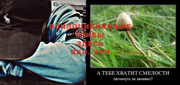 ешки Арсеньев