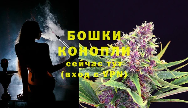 сатива Армянск